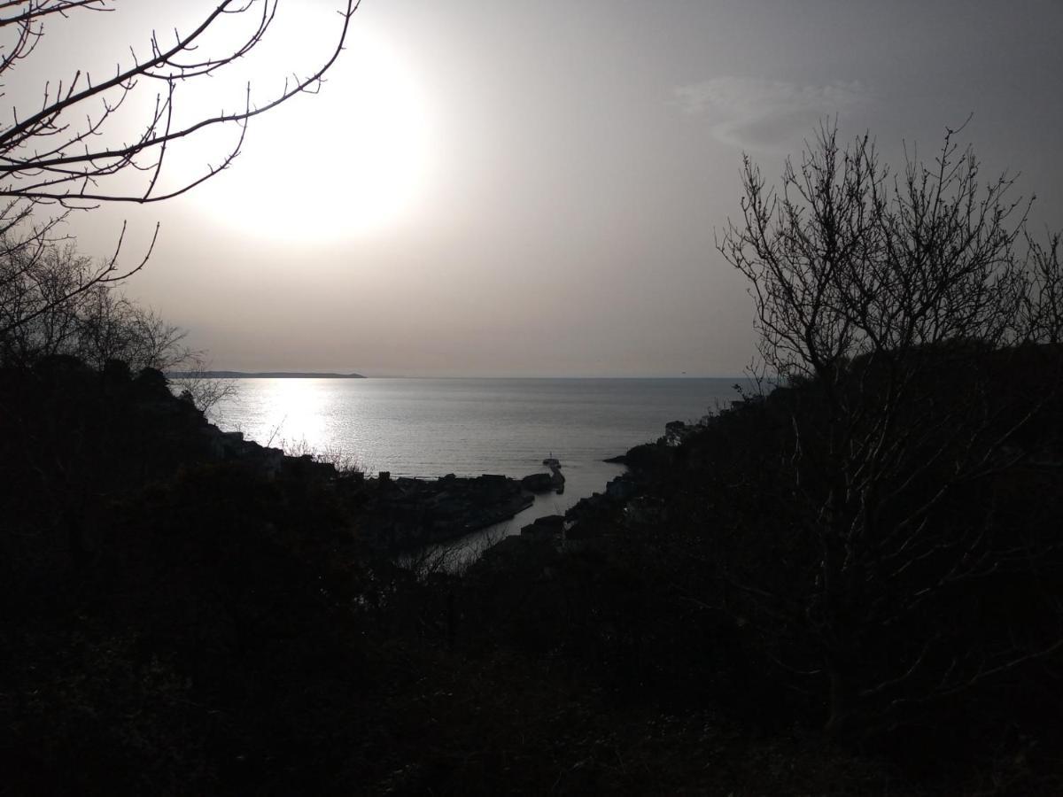 West Looe Downs Lägenhet Exteriör bild